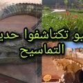 Crocodile-Park-in-Agadir