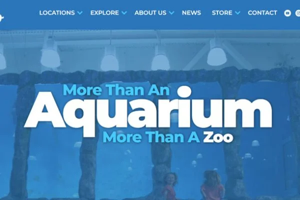 Discovering the Delights of Blue Zoo in Rogers, AR