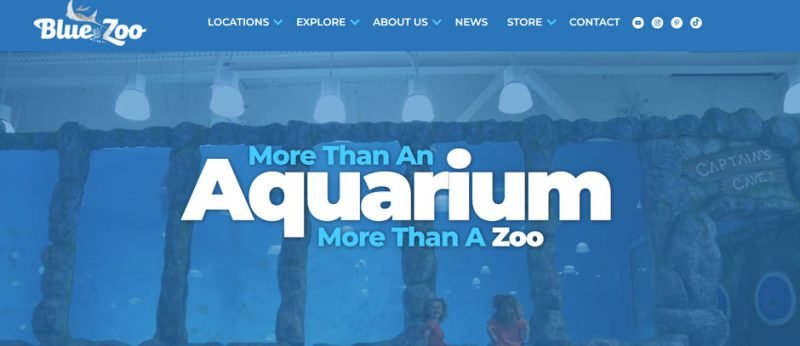 Discovering the Delights of Blue Zoo in Rogers, AR