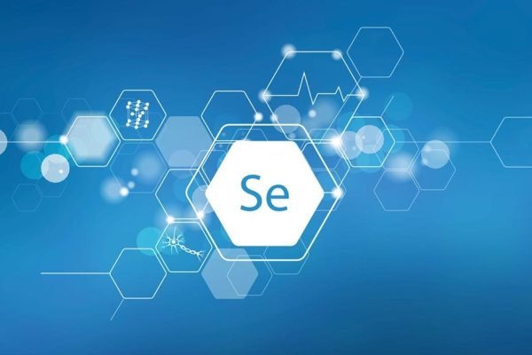 How To Test Web Applications Using Selenium