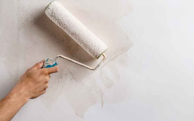 How To Apply Damp ProofPaint BlueSmartMia