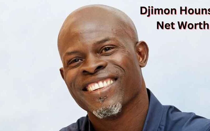 Djimon Hounsou Net Worth A Diverse Career in Acting and Modeling