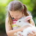 How Animals Affect Your Children's Mental Health