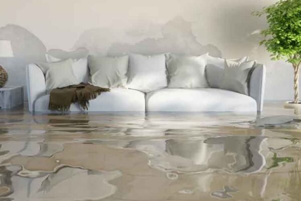 How Quickly Water Damage Can Ruin Your Home and What To Do?
