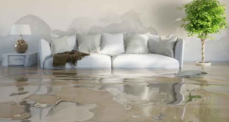 How Quickly Water Damage Can Ruin Your Home and What To Do?