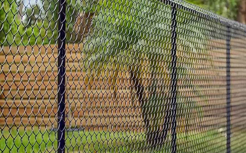 Increase Cost-efficiency With Chain Link Fencing - BlueSmartMia