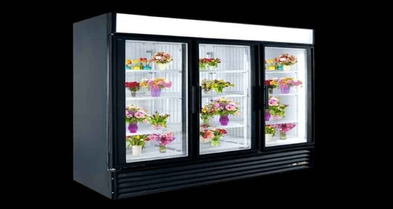 Flower Power: The Ultimate Guide to Choosing the Perfect Commercial Flower Cooler