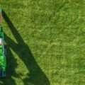 What Is a Lawn Care Company