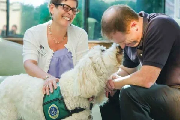 What Issues Can Animal Assisted Therapy Help With?