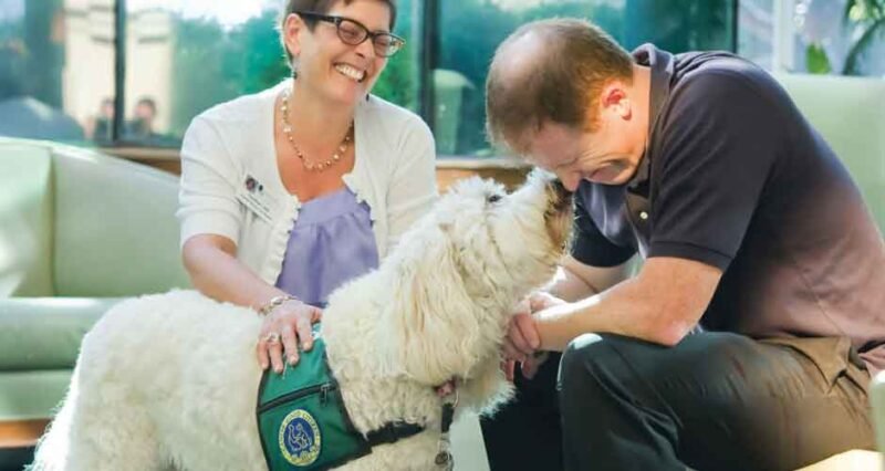 What Issues Can Animal Assisted Therapy Help With?