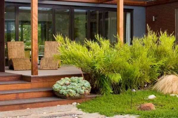 Sustainable Gardening 101: Building Eco-Friendly Spaces with Composite Materials