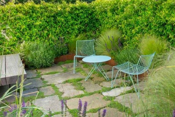 The Online Shopper’s Guide to Powering Up Your Garden