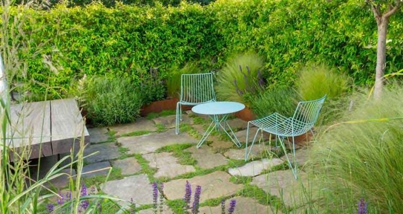 The Online Shopper’s Guide to Powering Up Your Garden