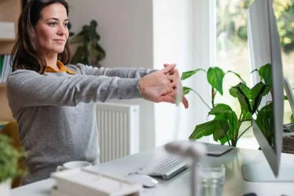 Why You Should Consider Hiring Indoor Plants to Enhance the Interior of Your Office Space