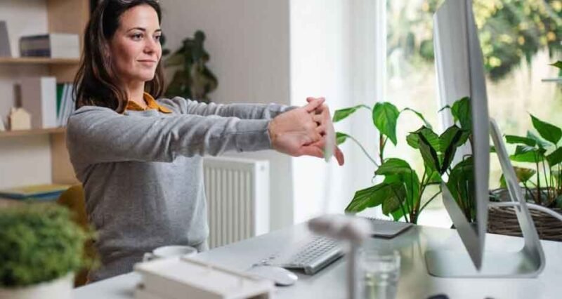 Why You Should Consider Hiring Indoor Plants to Enhance the Interior of Your Office Space