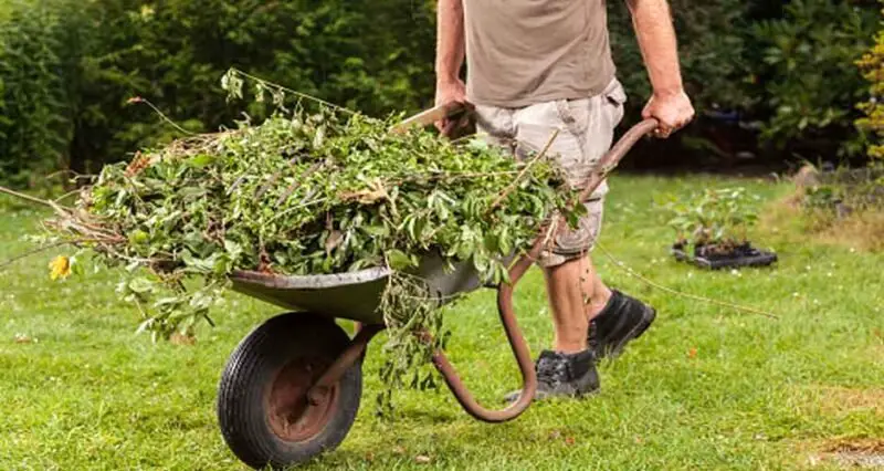 Streamlining Your Garden Waste Collection: Time-Saving Strategies