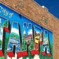 Guide-to-Starting-a-New-Life-in-Tampa-Florida