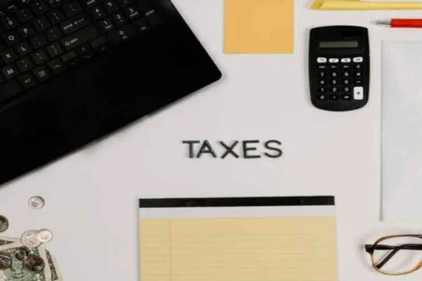 Maximizing Your Tax Return: The Pros and Cons of Hiring a Tax Professional