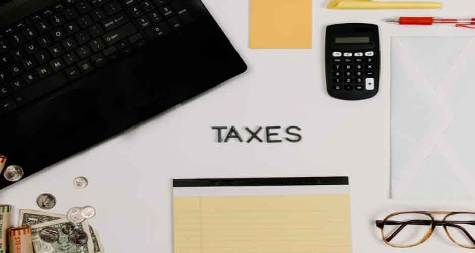 Maximizing Your Tax Return: The Pros and Cons of Hiring a Tax Professional - BlueSmartMia