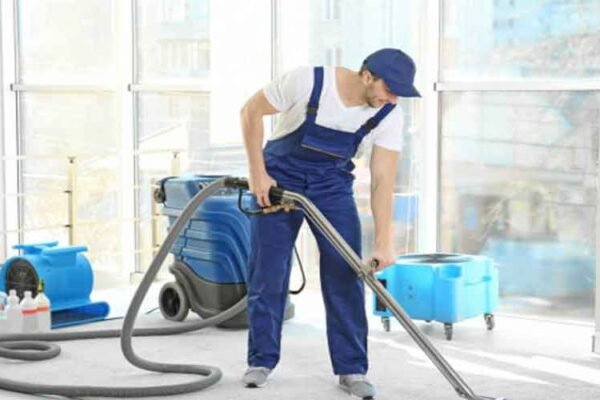 The Top Benefits of Hiring a Professional Carpet Cleaner