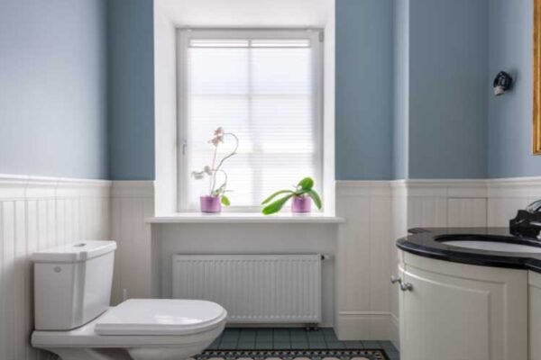 Choosing the Right Toilet for Your Bathroom: A Complete Guide