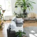 How-Plants-Can-Transform-Your-Toronto-Studio-Apartment-into-a-Green-Oasis