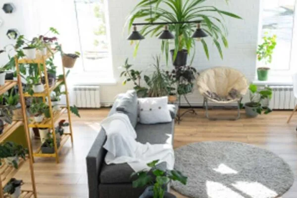 Bringing Nature Indoors: How Plants Can Transform Your Toronto Studio Apartment into a Green Oasis