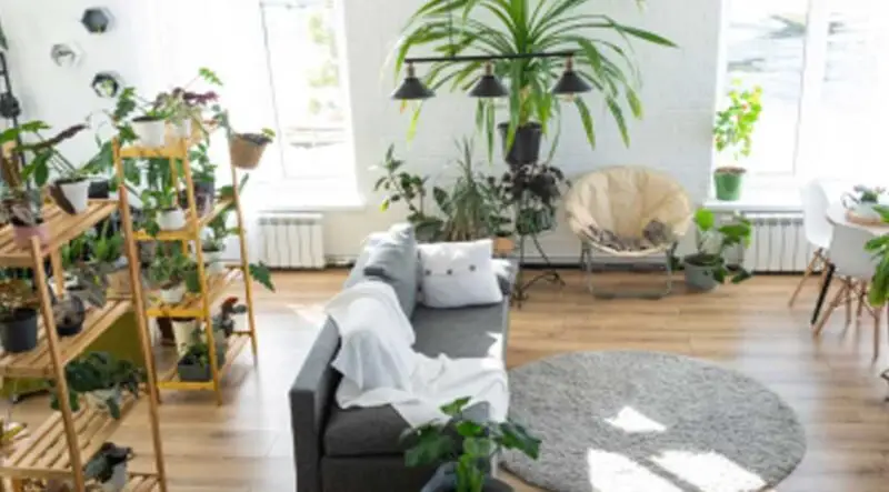 Bringing Nature Indoors: How Plants Can Transform Your Toronto Studio Apartment into a Green Oasis