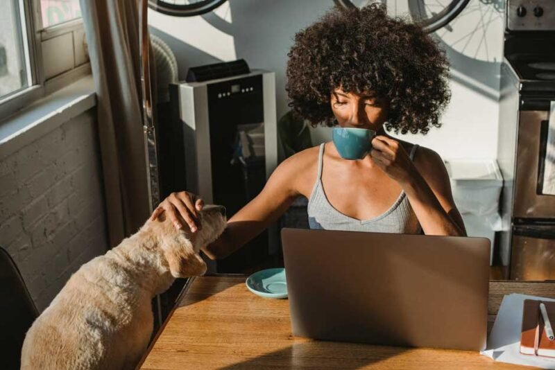 First-Time Dog Owner? 5 Things You Should Know