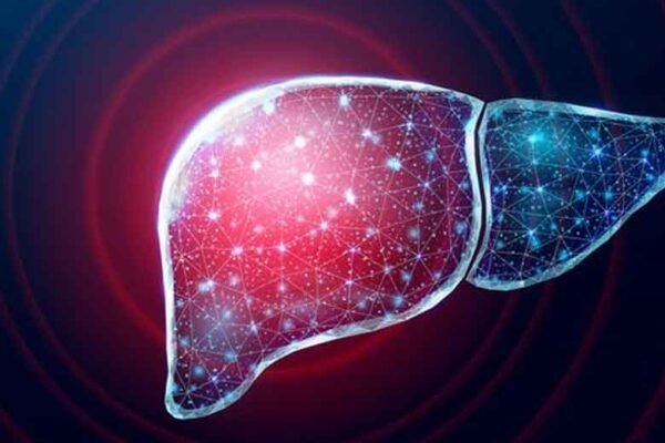 Risk Factors and Molecular Pathways Driving Hepatocellular Carcinoma