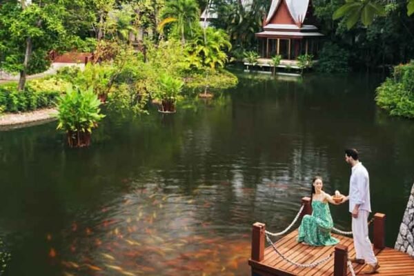 How a gut health detox resort in a stunning location can help the body and mind recover