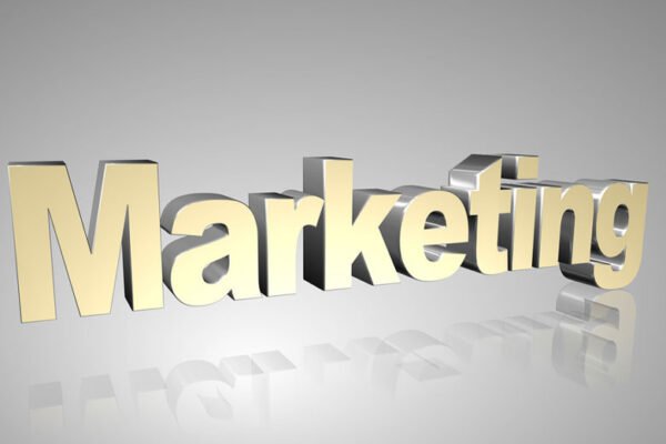 From Strategy to Success: How Professional Marketing Experts Can Help You Drive Business Results