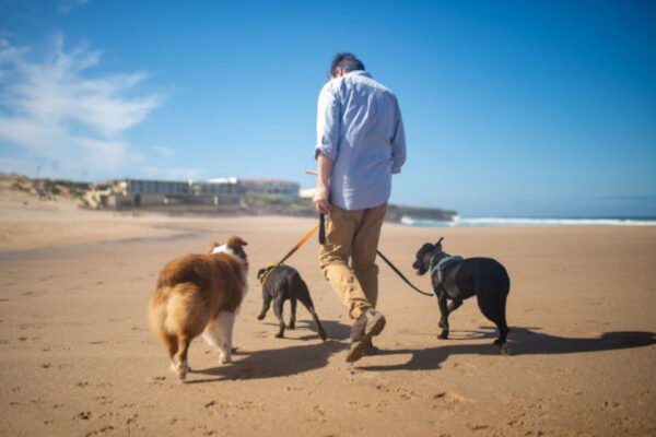 The Hidden Benefits of Living with an Emotional Support Animal