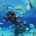 What To Know When Planning Dive Trips for Advanced Divers