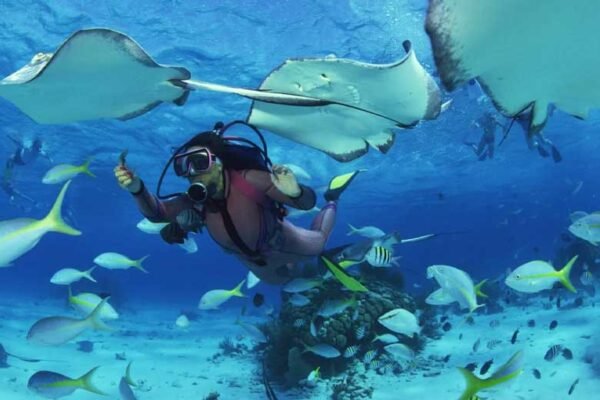 What To Know When Planning Dive Trips for Advanced Divers