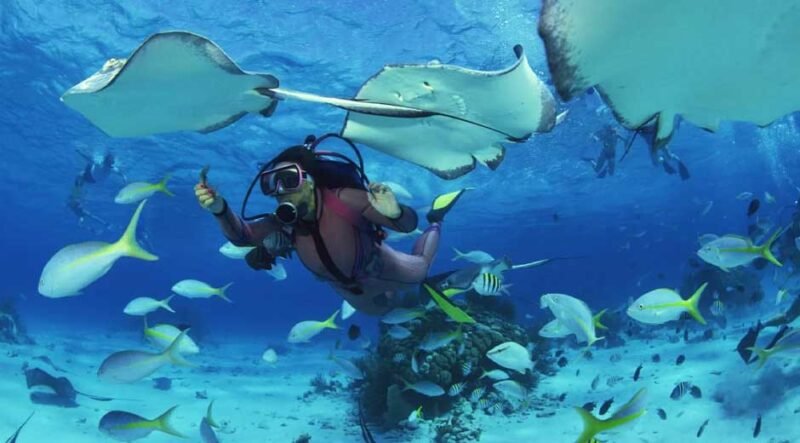 What To Know When Planning Dive Trips for Advanced Divers