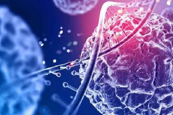 Top 5 Benefits of Using Preserved Tissue in Research