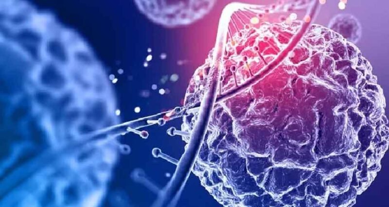 Top 5 Benefits of Using Preserved Tissue in Research