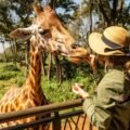 Ethical Wildlife Travel: What to Look for in a Stay