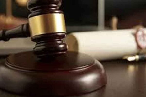 Legacy Probate International: A Beginner’s Guide to Forensic Genealogy