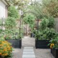 Outdoor Benefits at Home: How to Build a Garden You Spend Time in
