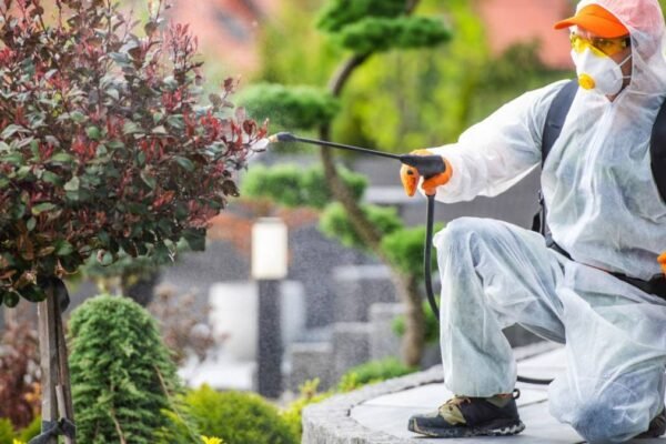 Eco-Friendly Pest Control Solutions for Healthier Homes