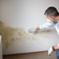 toxic-mold-injury-in-arizona-understanding-medical-1