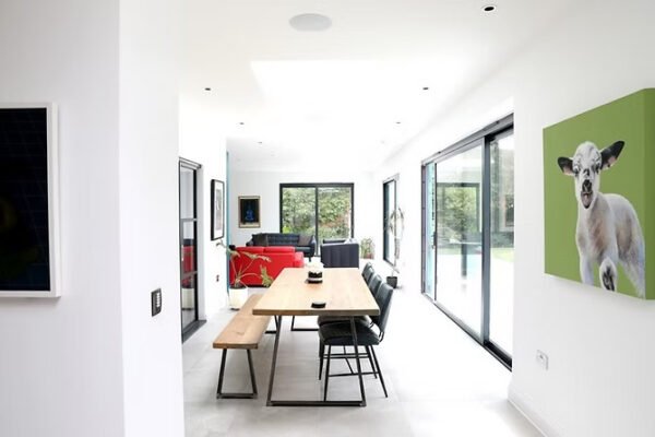 How Professional Essex Extension Plans Can Save You Time and Money