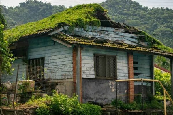 Rain, Moss, and Fresh Color: How to Protect and Refresh Your Home’s Exterior in the Pacific Northwest