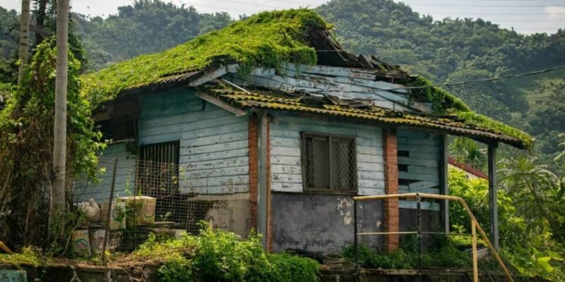 Rain, Moss, and Fresh Color: How to Protect and Refresh Your Home’s Exterior in the Pacific Northwest